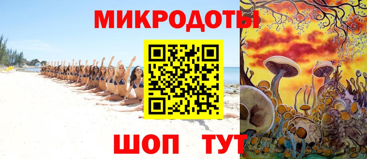 Псилоцибиновые грибы мицелий Армавир